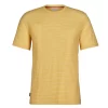 Icebreaker MEN MERINO LINEN SS TEE STRIPE Herren - Funktionsshirt